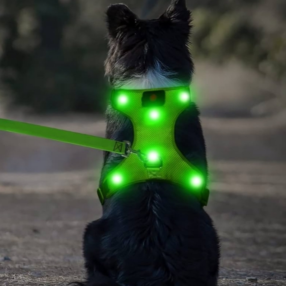 Flashseen LED USB Rechargeable Dog Harness In Neon Green Size M